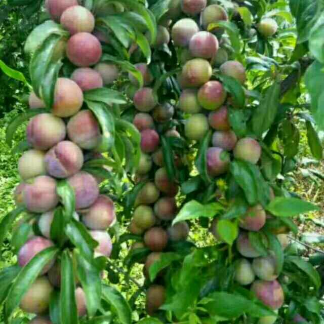 打工之人好辛苦