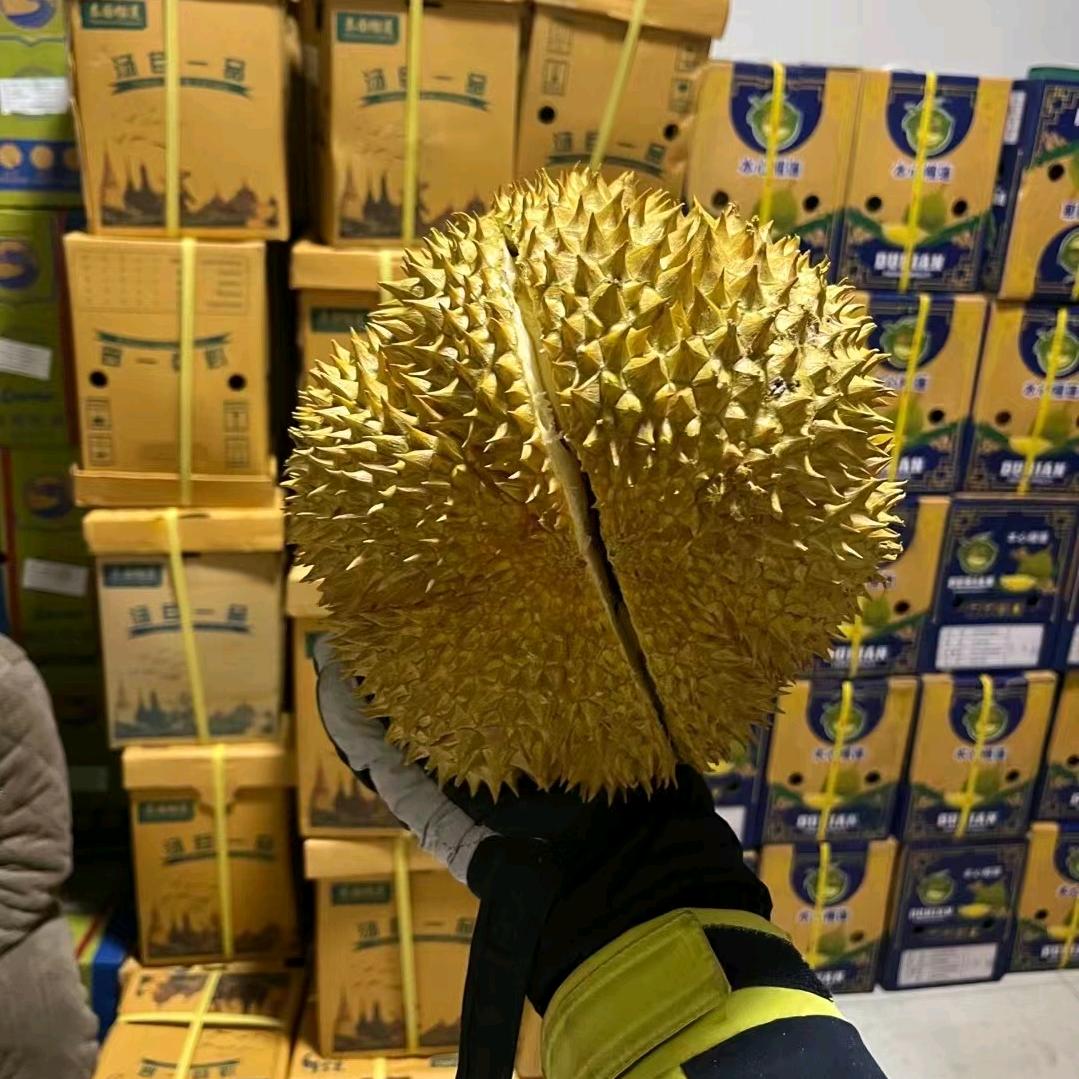 名先欠着