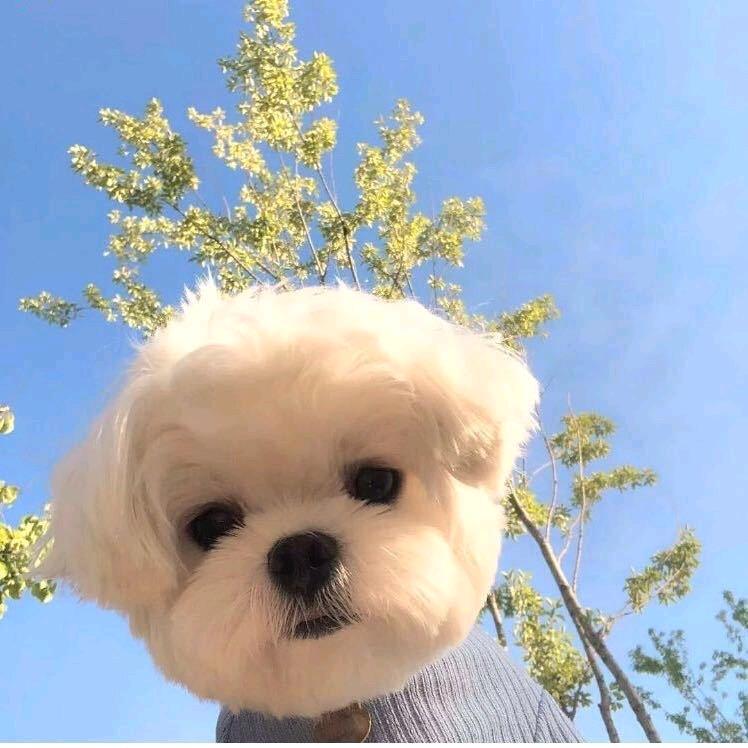 o