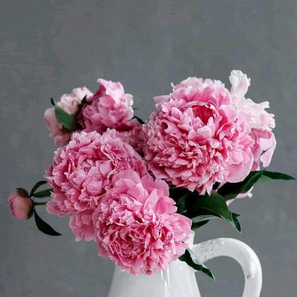 芳芳