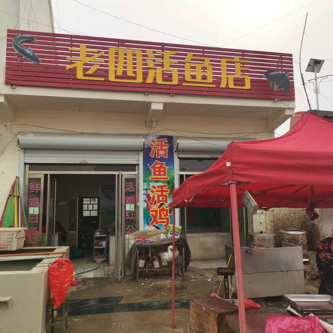 清河鲜鸡活鱼店