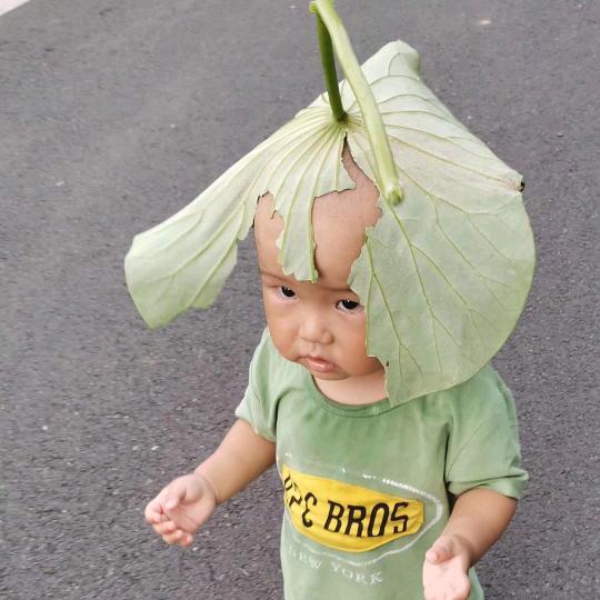 溧阳强总