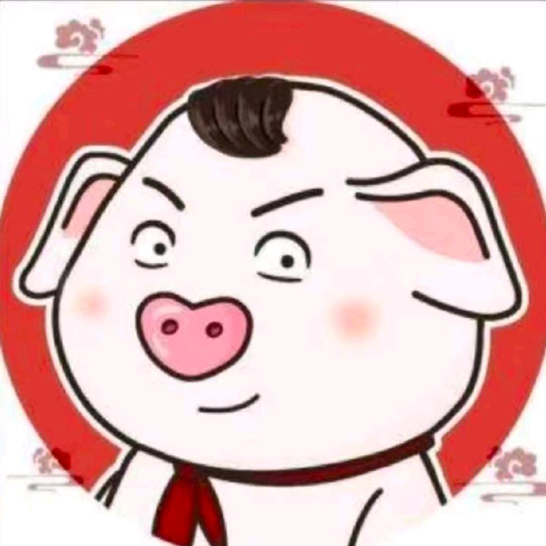全民枪神猪屁登(宠粉)