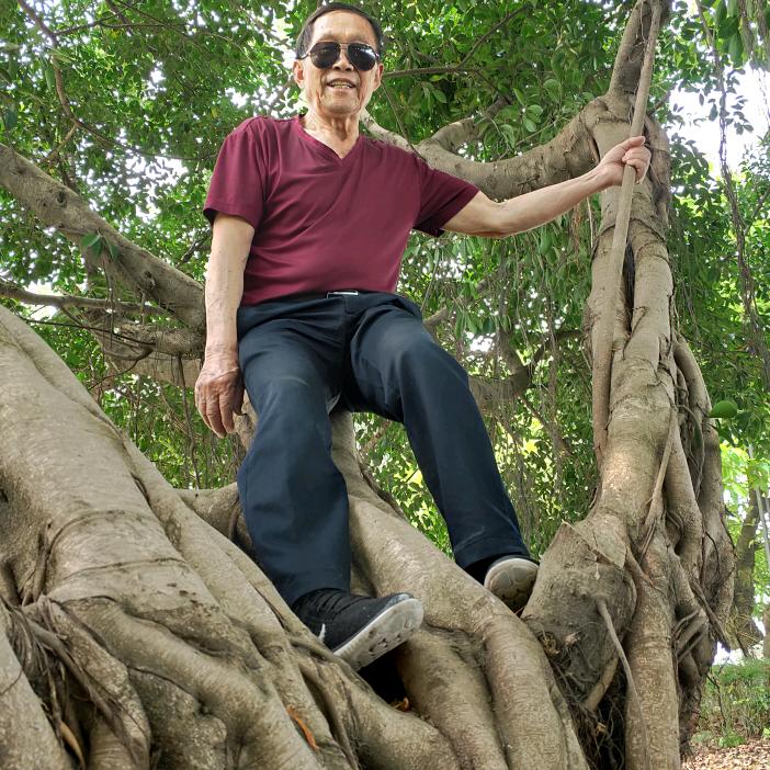 幸福一生41年的蛇