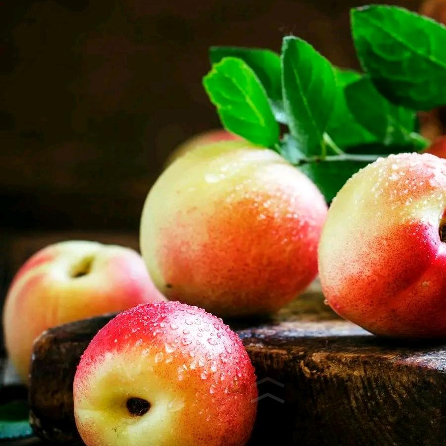 天裕东来👍️👍️