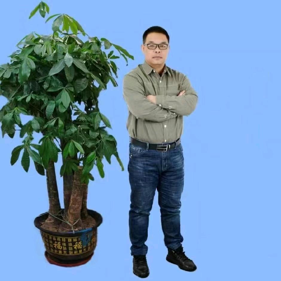 山语