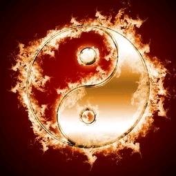 唯德