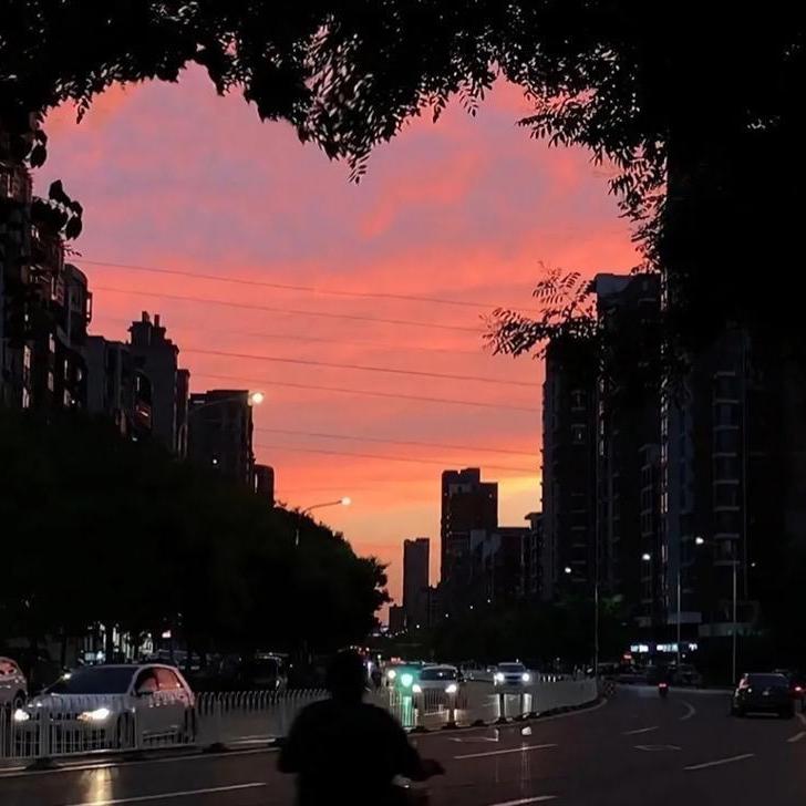 鲸陨