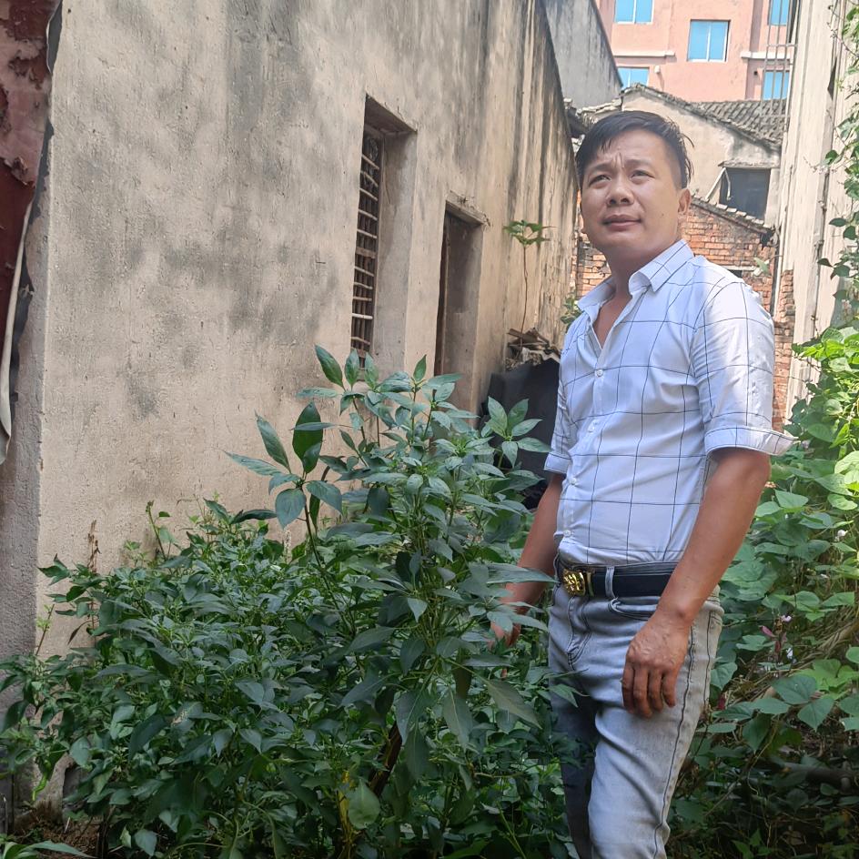 贵州天柱家乡特产