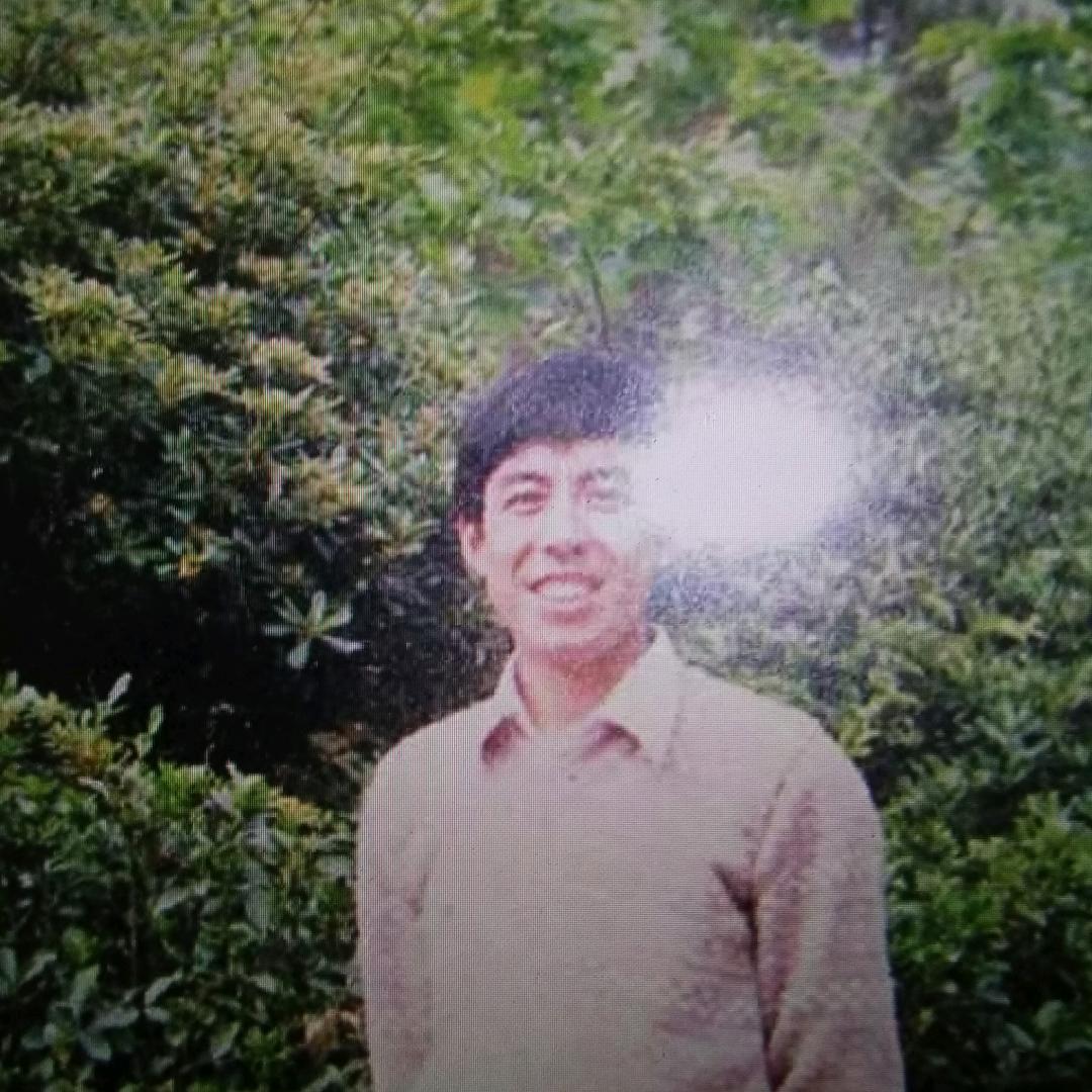 青林知青