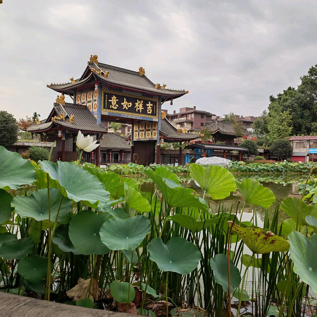 婺剧看官