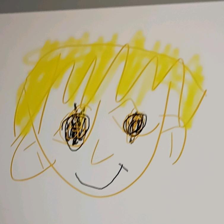 柠檬水🐸（努力版）