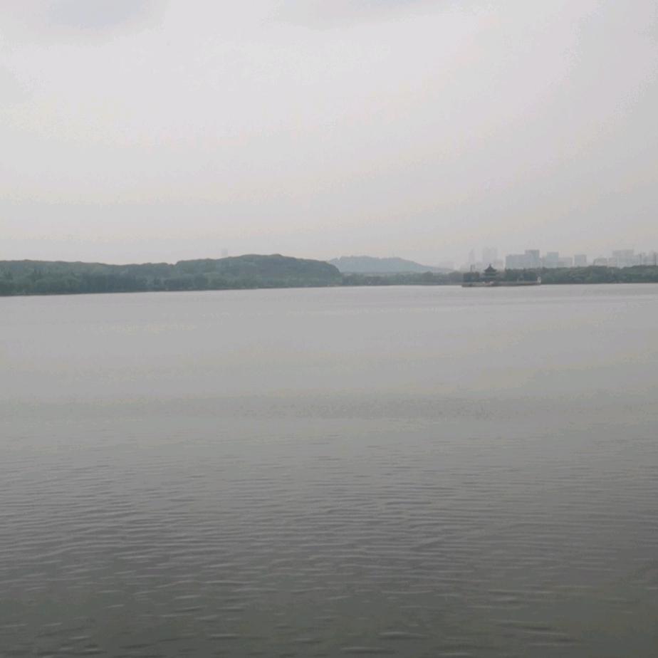冠霖