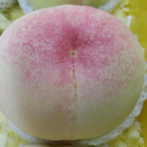 阳山水蜜桃学前店