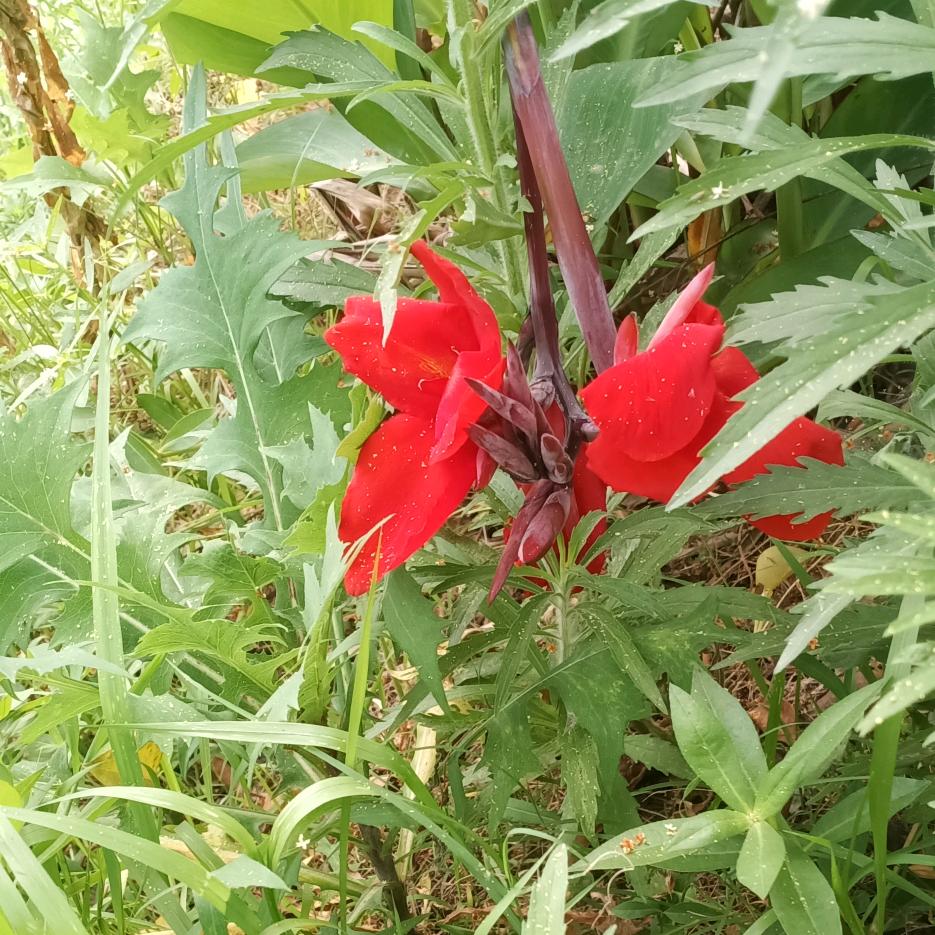 岁月匆匆