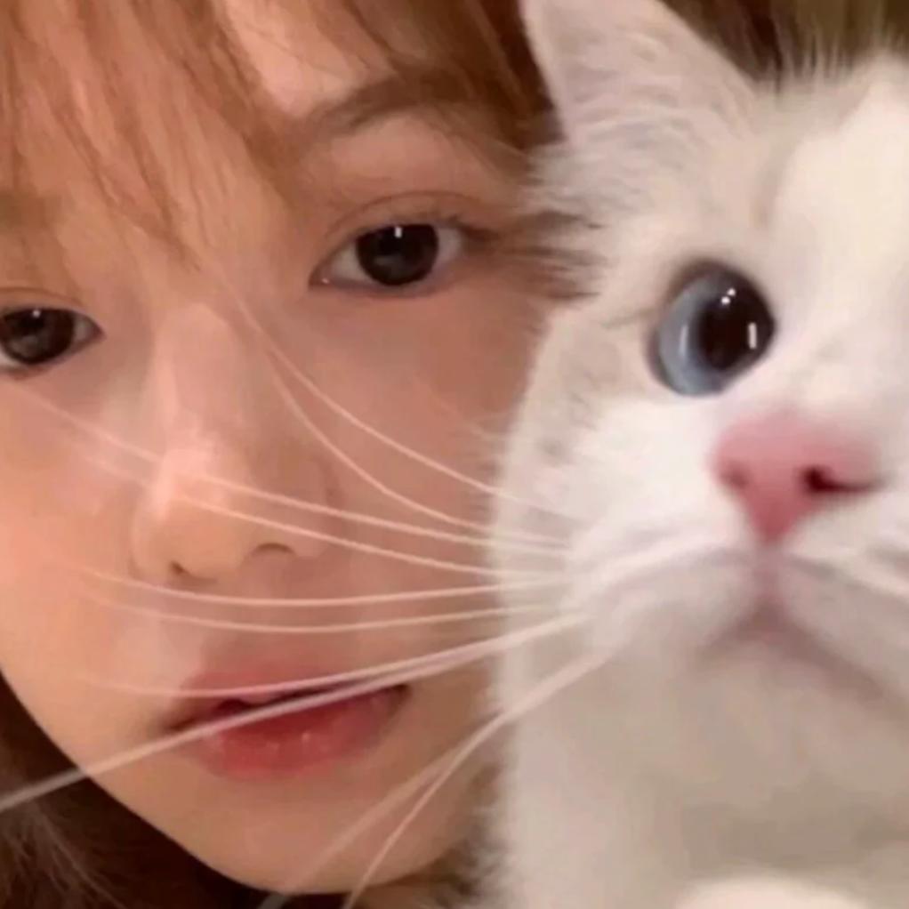 少₇一点₈ ᰔᩚ