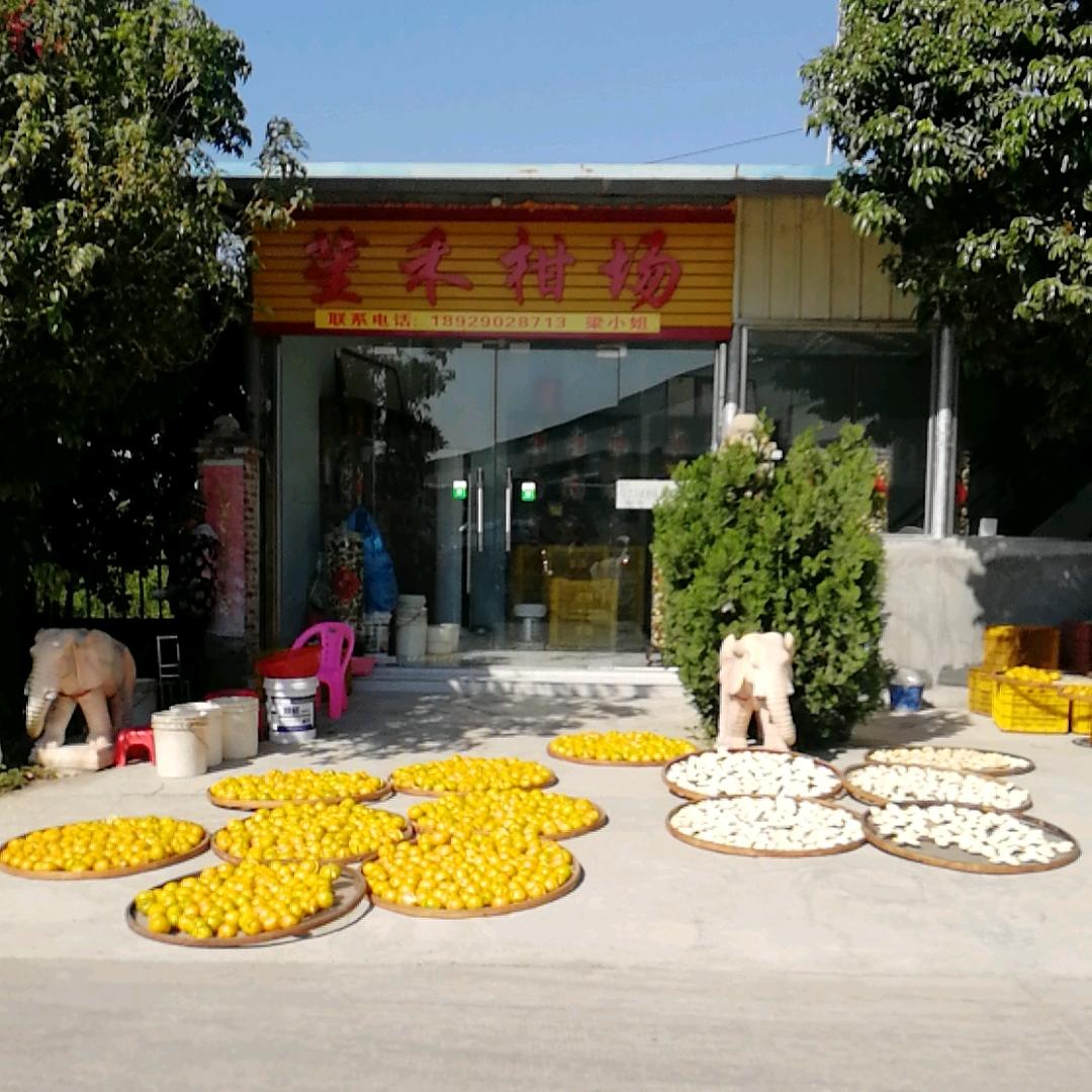 新会区会城笙禾柑场（新会陈皮）