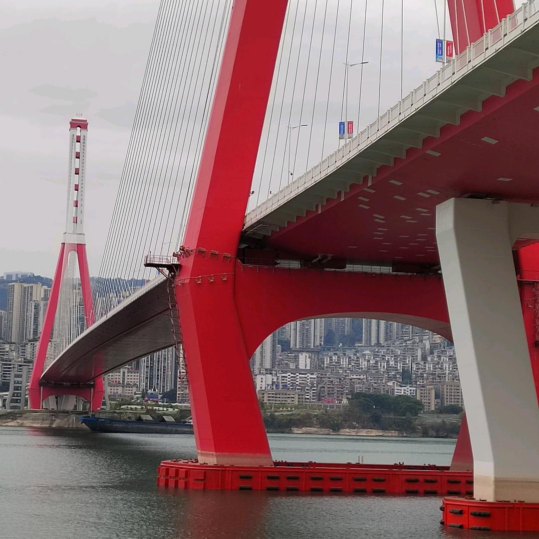王树林