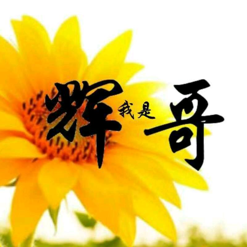 辉哥