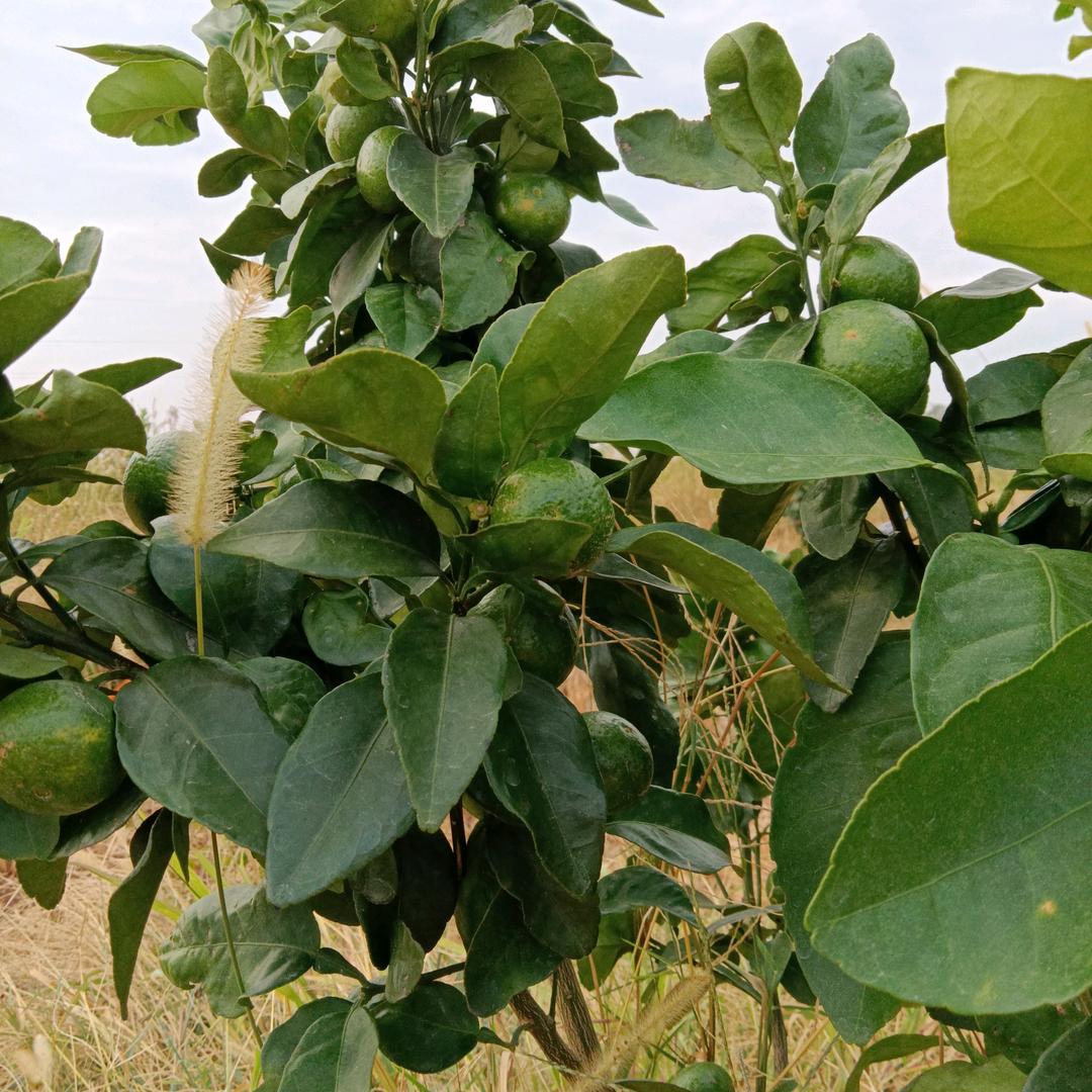 *微笑面对每一天*