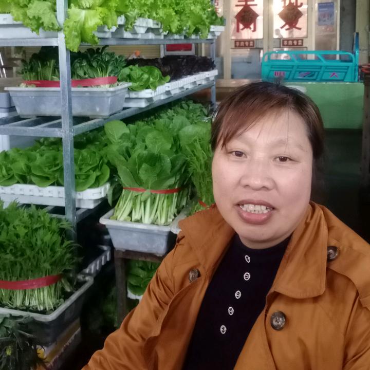 王老五有机蔬菜