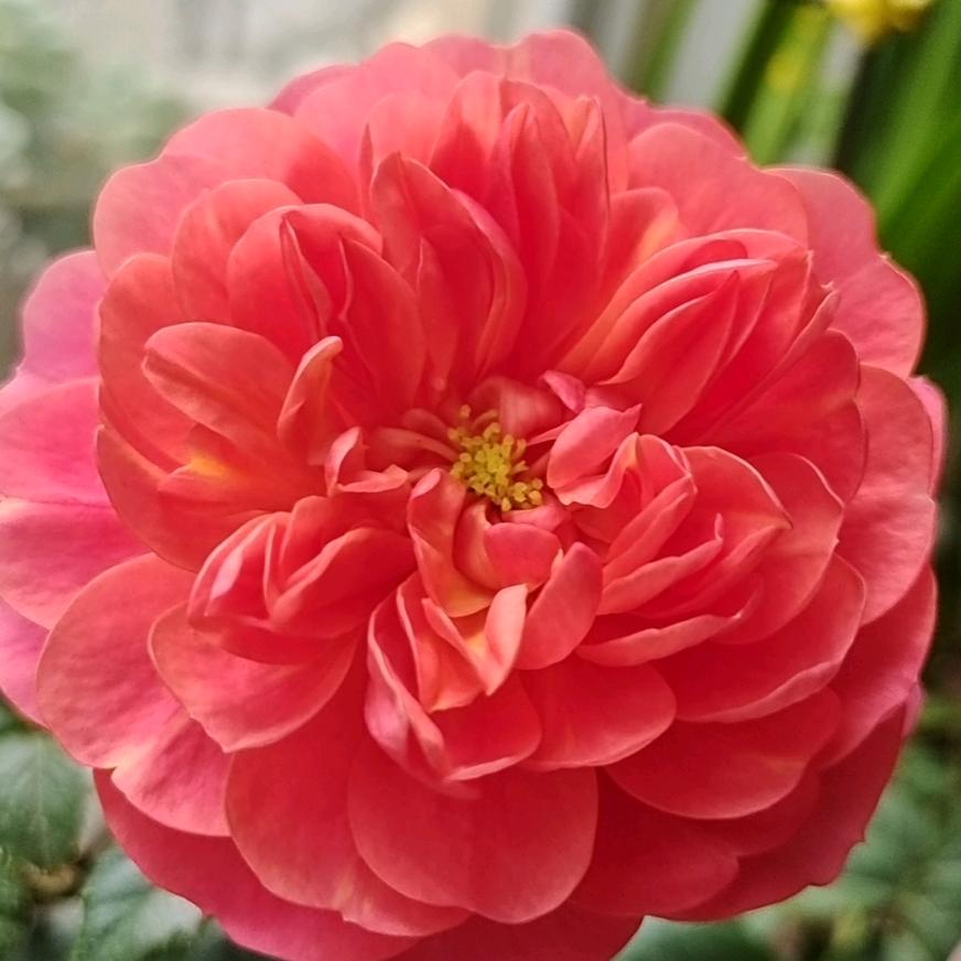 闲居