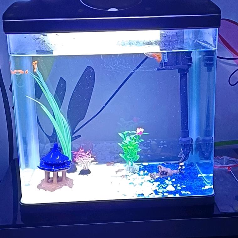 我很怪ベ但我不坏