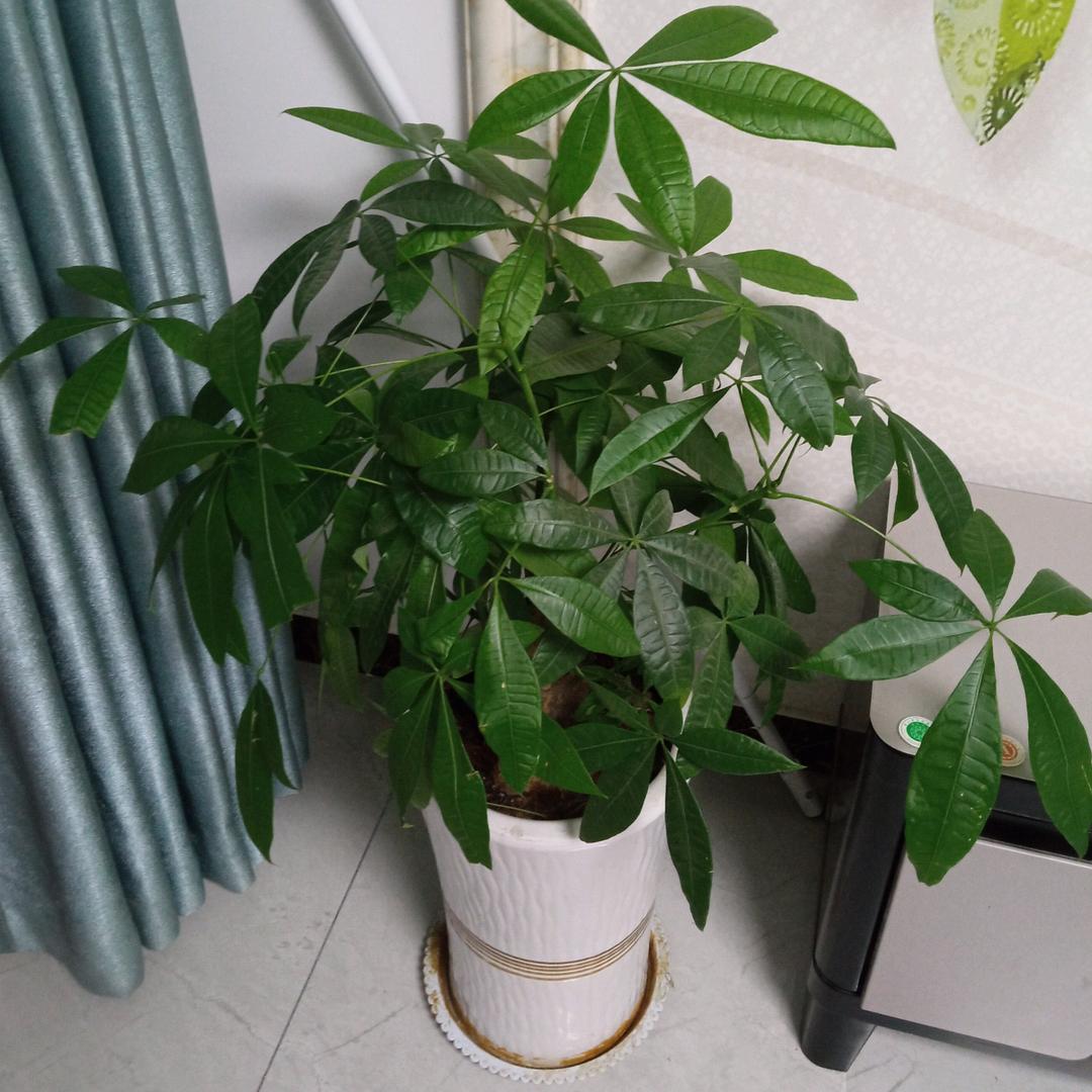 东营铁匠水电暖安装公司
