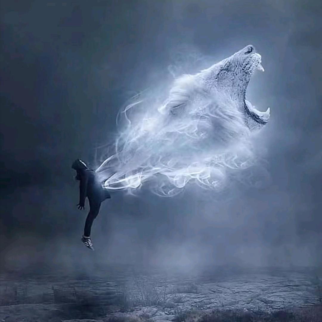 ㅤ︎ ︎ ︎ㅤㅤAsh