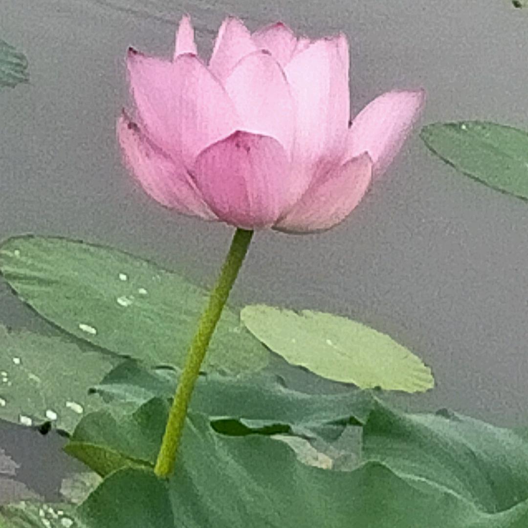好好生活
