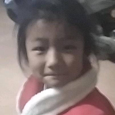 何大拿