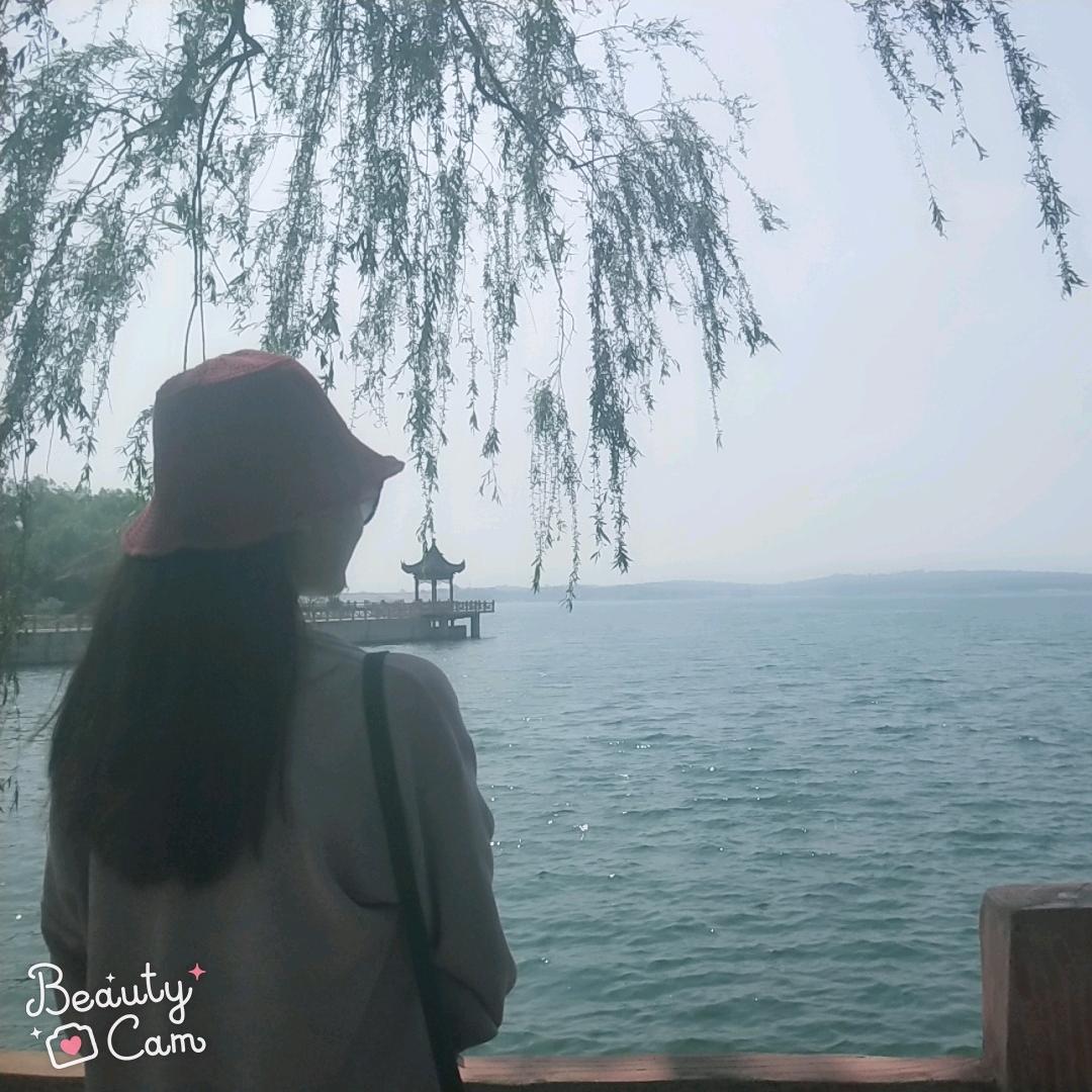 宝多多13