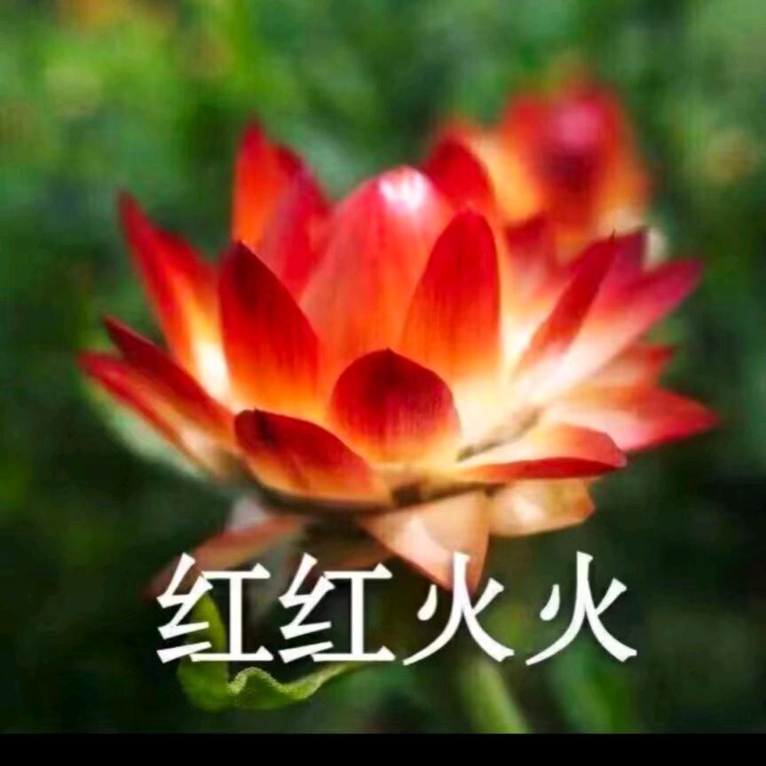 用户2787020600128