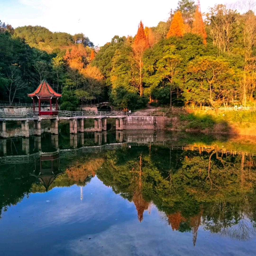 黄英