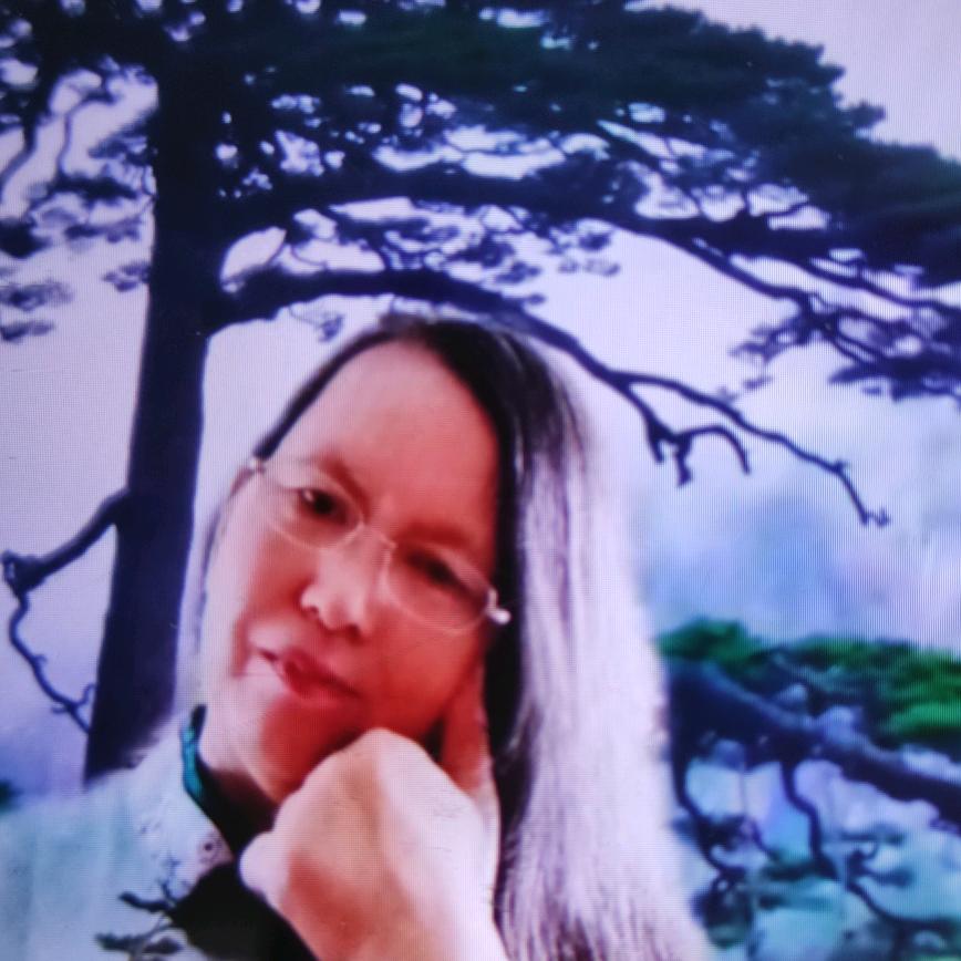 🎄平 🌷平 🌷淡 🌷淡 🍁