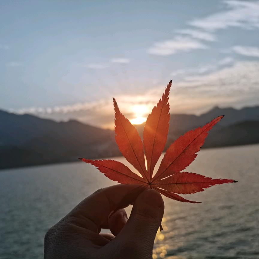 相濡以沫