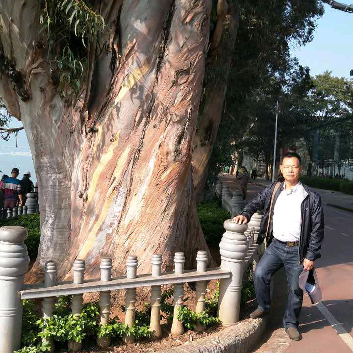 用户：老大哥