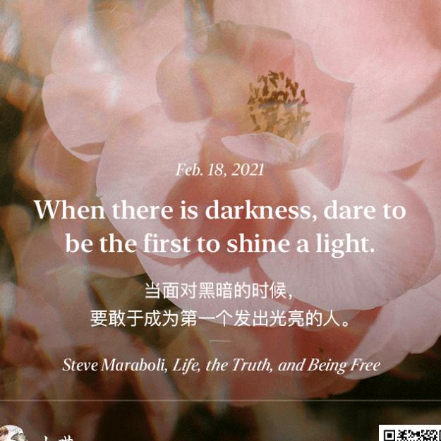 墨鸦