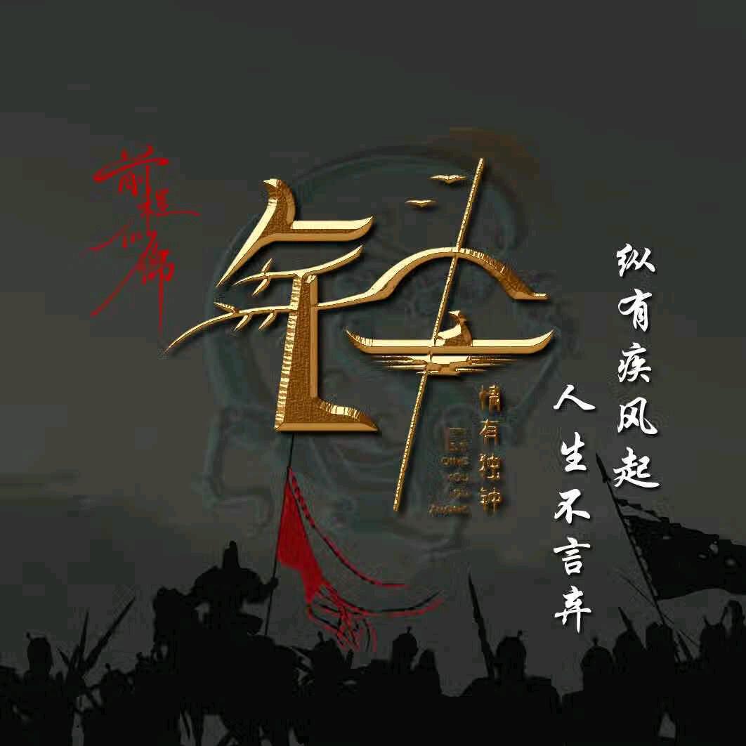 孤影逐风
