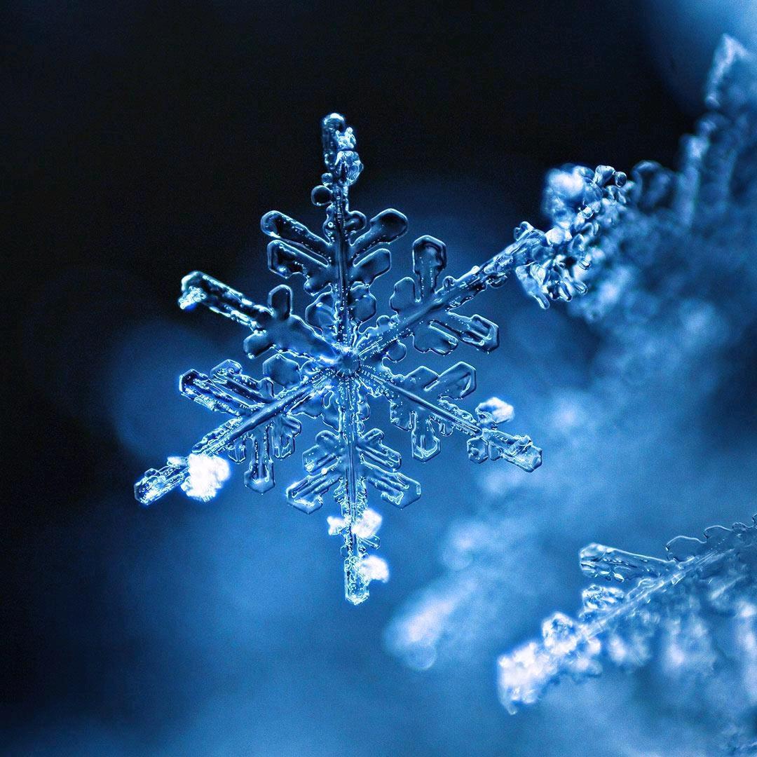 寒冰雪冷客