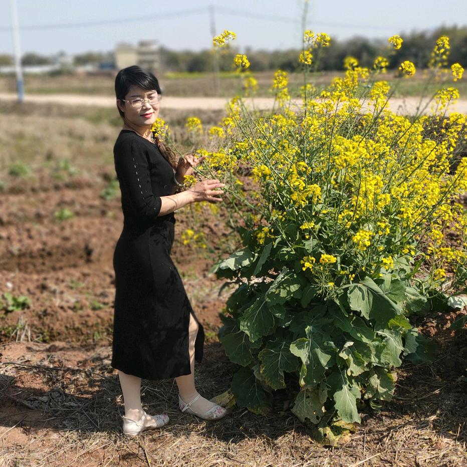 君飞扬