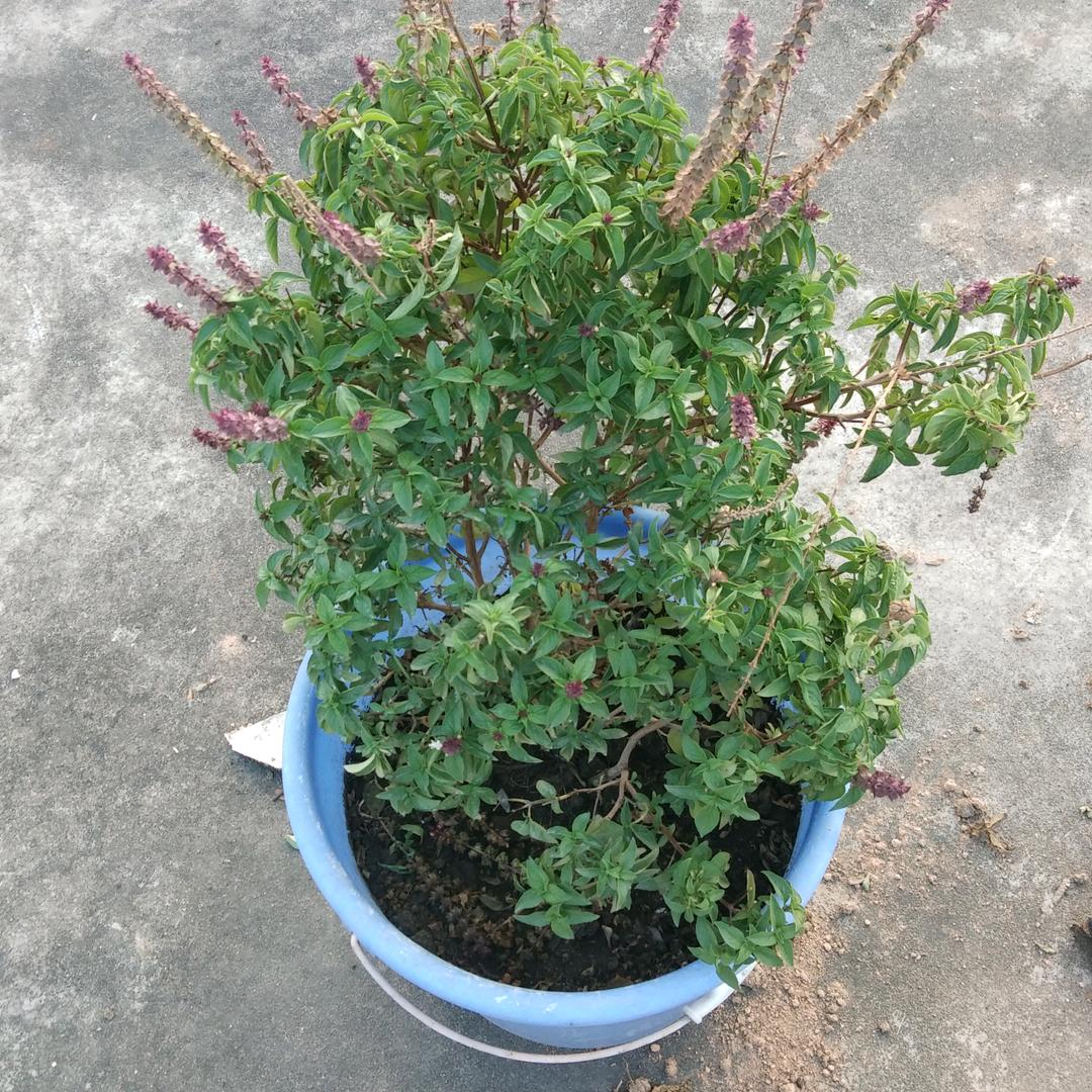 车到山前必有路