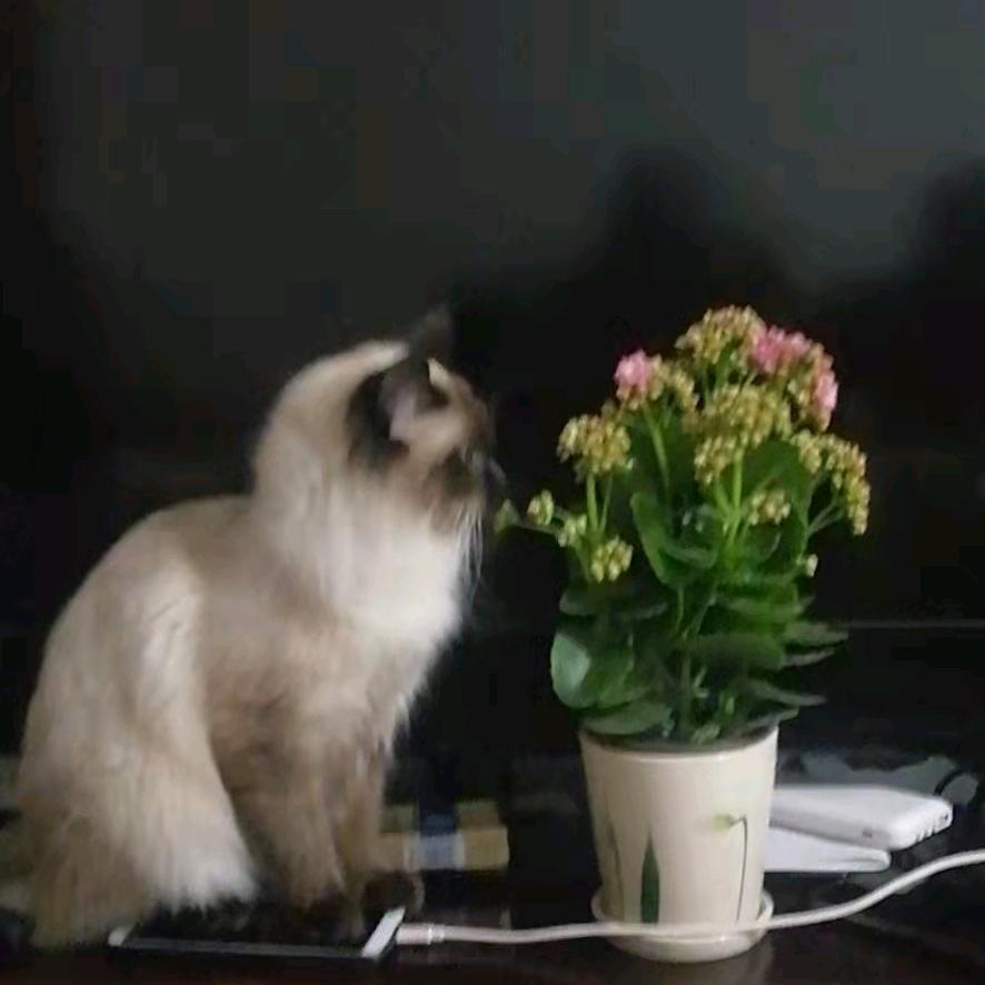 瑞瑞喜欢你