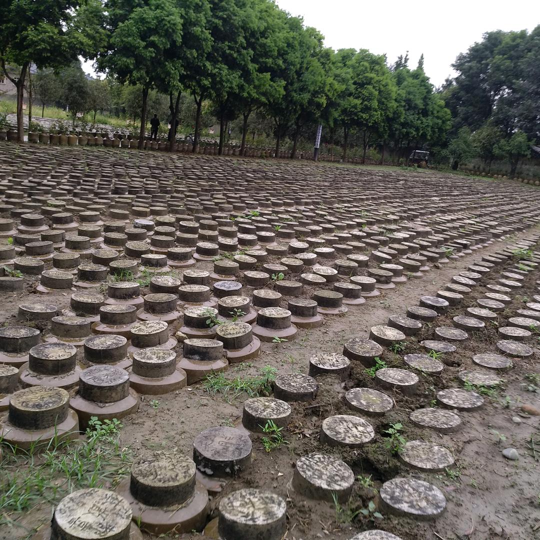 重庆金盆地