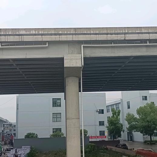 财运滚滚
