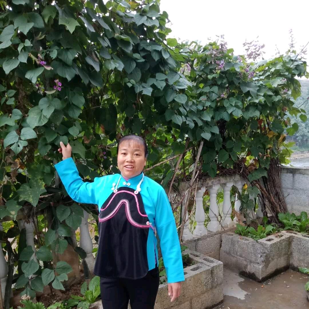 大吉大利