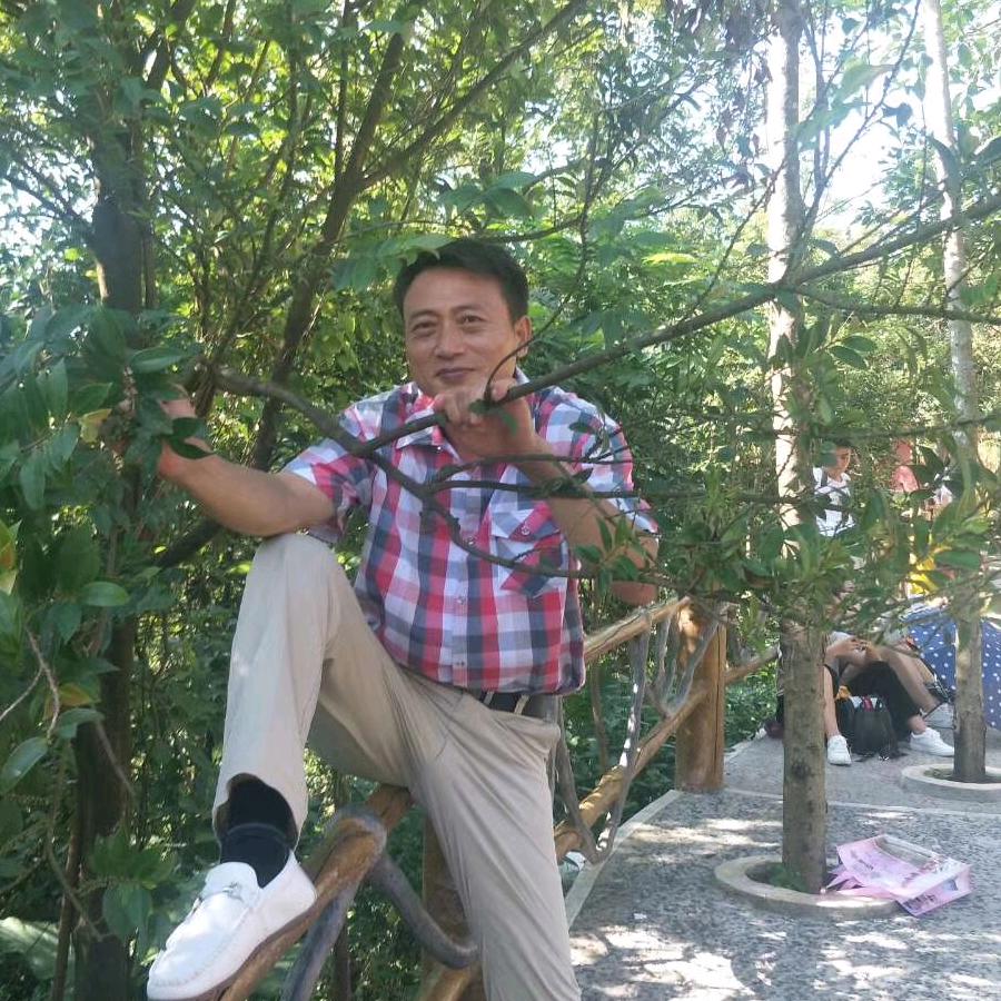 （诚信）行天下。