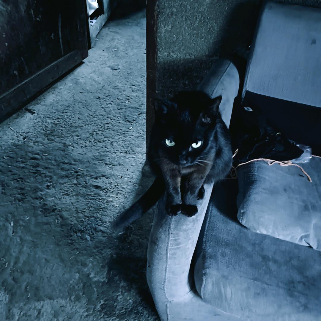 心想事成。心想事成