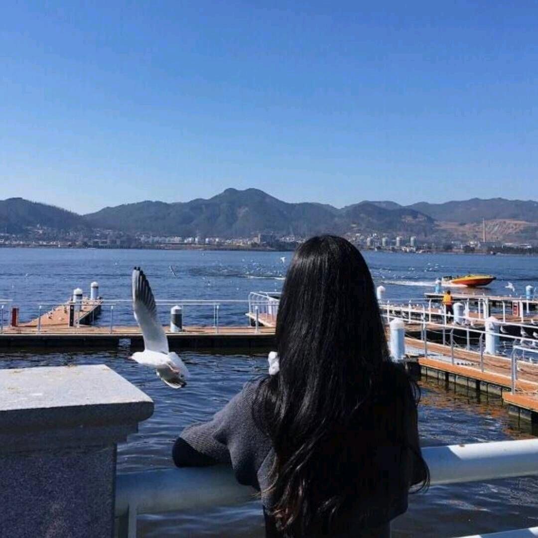 做特产的沈柠