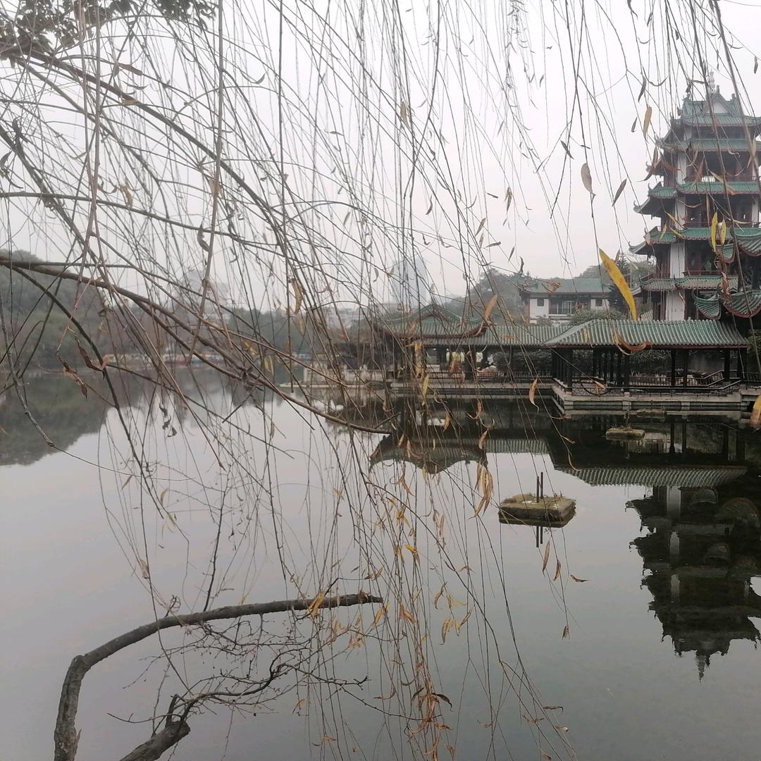 小陈水果